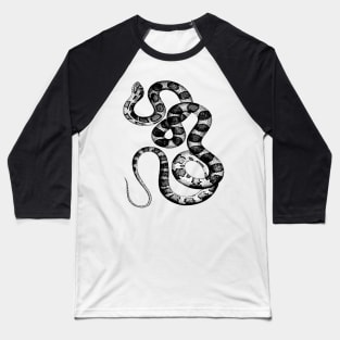 Boa Snake | Reptile Animal Serpent Baseball T-Shirt